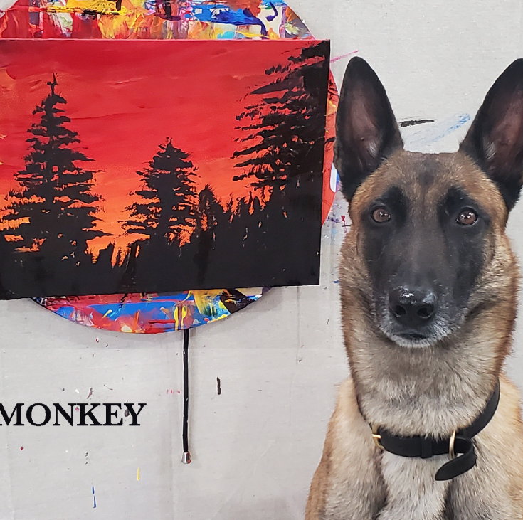 Monkey: The Painting Dog