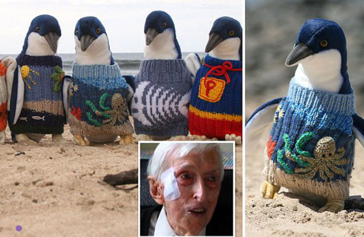 penguins in sweaters